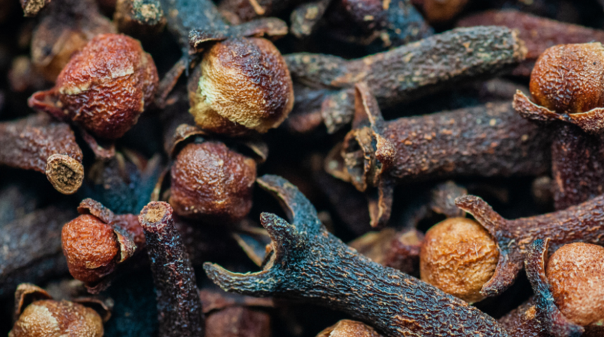 Sivrisinekler bir daha yanınıza yaklaşamayacaklar! Karanfil, fesleğen...