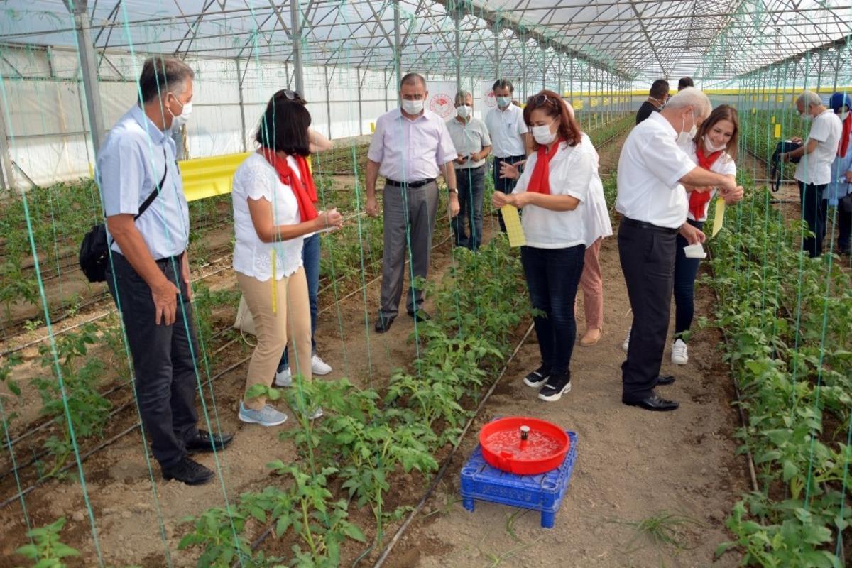 Aydın&rsquo;da kadın &ccedil;ift&ccedil;ilere uygulamalı eğitim verildi