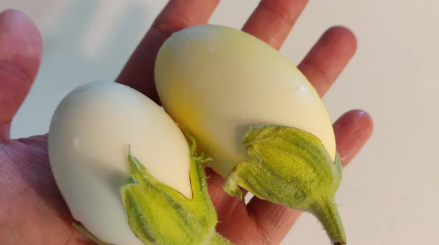 Ne olduğunu tahmin edemeyeceksiniz! Gerçek bir mucize...