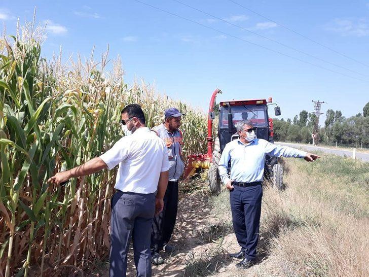 Slajlık mısır üretimi ilçe ekonomisine katkı sağlıyor G1