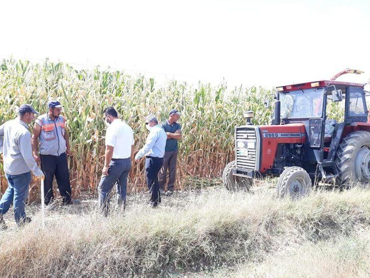 Slajlık mısır üretimi ilçe ekonomisine katkı sağlıyor G2