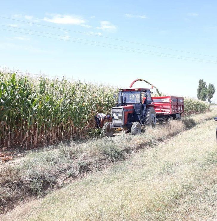 Slajlık mısır üretimi ilçe ekonomisine katkı sağlıyor G3