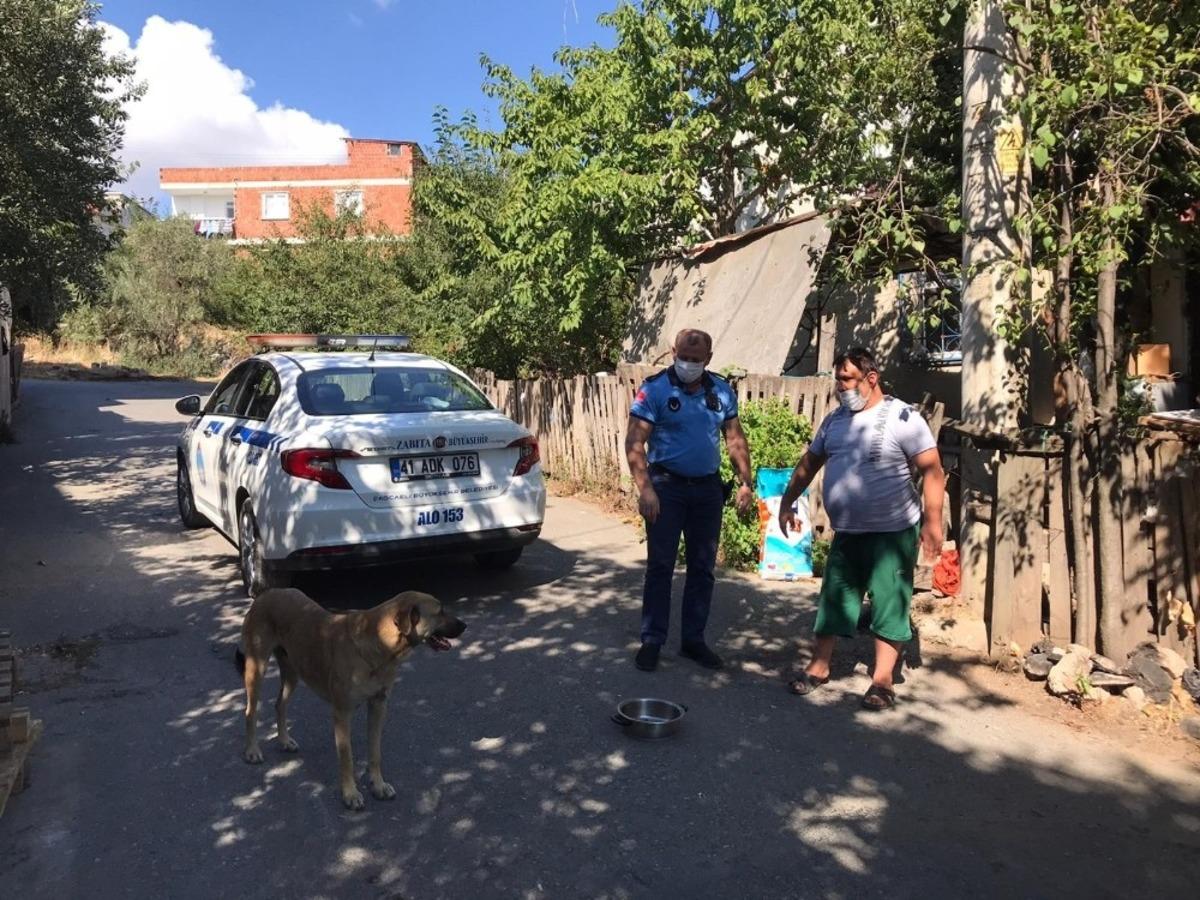 Sahiplendiği k&ouml;peğin mamasını B&uuml;y&uuml;kşehir karşıladı