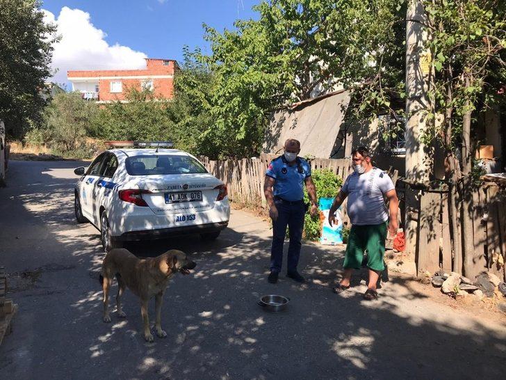 Sahiplendiği köpeğin mamasını Büyükşehir karşıladı G1