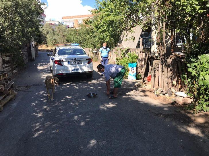 Sahiplendiği köpeğin mamasını Büyükşehir karşıladı G3