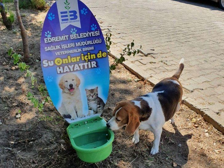 Su onlar için de hayattır G3