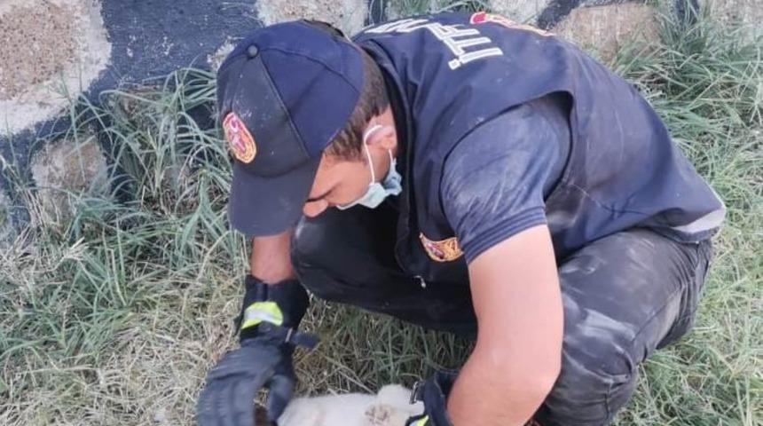 Rögara düşen yavru köpeği itfaiye ekipleri kurtardı