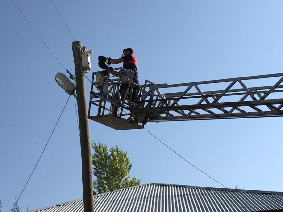 &Ouml;zalp&rsquo;ta telefon direğinde mahsur kalan kedi kurtarıldı