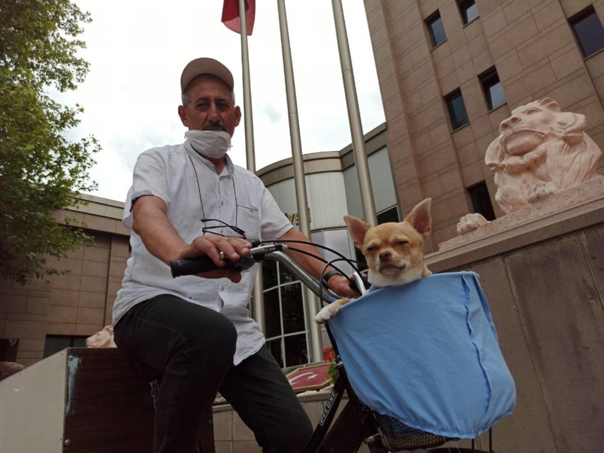 Bisikletle gezmeyi seven minik k&ouml;pek