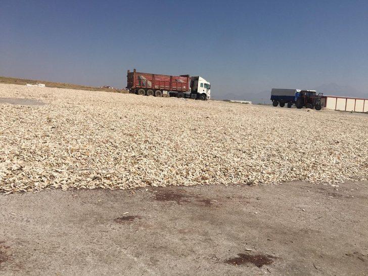 Büyükşehir’den çiftçiye hep destek G1