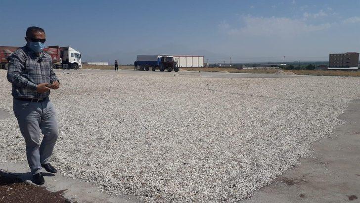 Büyükşehir’den çiftçiye hep destek G3