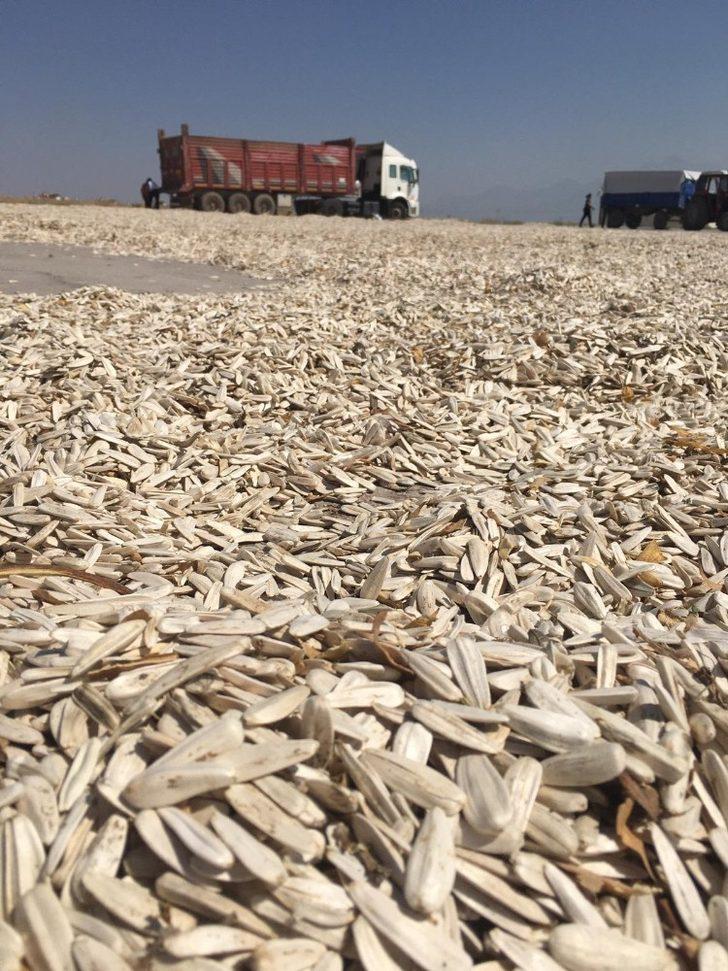 Büyükşehir’den çiftçiye hep destek G4