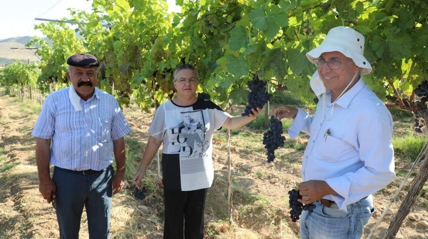 G&uuml;ny&uuml;z&uuml; organik &uuml;z&uuml;m&uuml;n merkezi olmaya aday