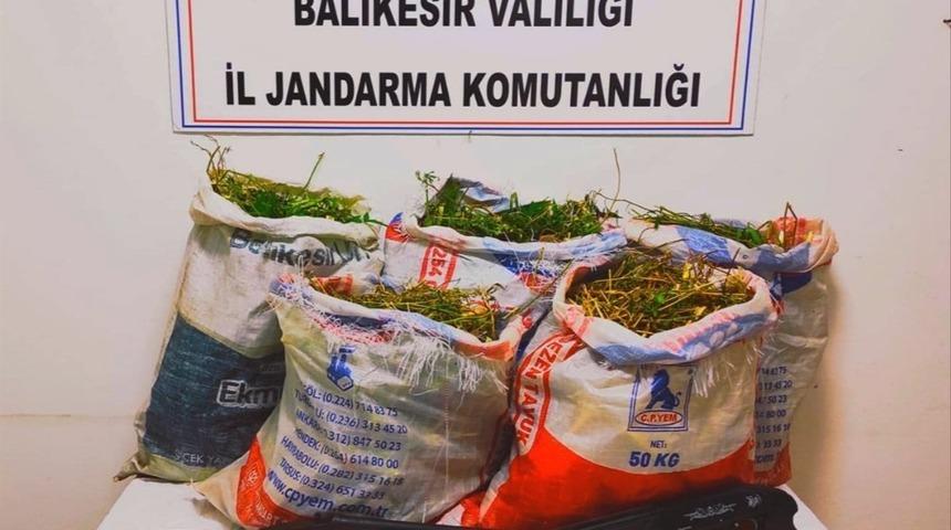 Ayvalık&rsquo;ta jandarmadan uyuşturucu operasyonu