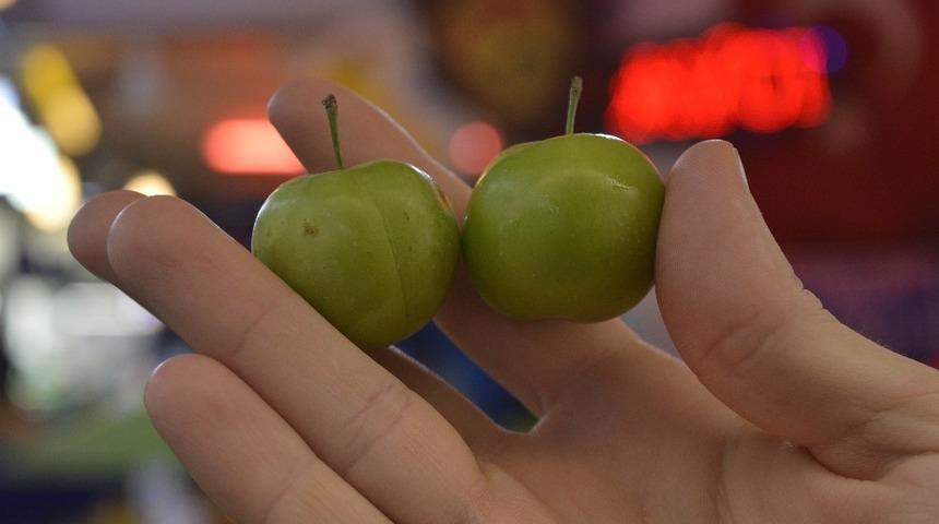 Papaz eriğin fiyatı iki haftada 8’e katlandı