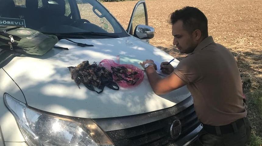 Aydın&rsquo;da 4 avcıya 20 bin TL ceza