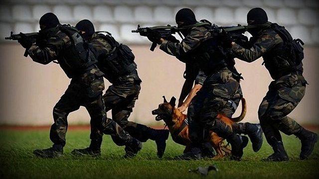 Cumhurbaşkanı Erdoğan'ın eski başdanışmanı Adnan Tanrıverdi, Sunday Telegraph'a konuştu: Türkiye'nin SADAT gibi belki yüzlerce şirkete ihtiyacı var