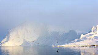 Dünyayı korkutan olay: Devasa bir buzul parçası koptu!