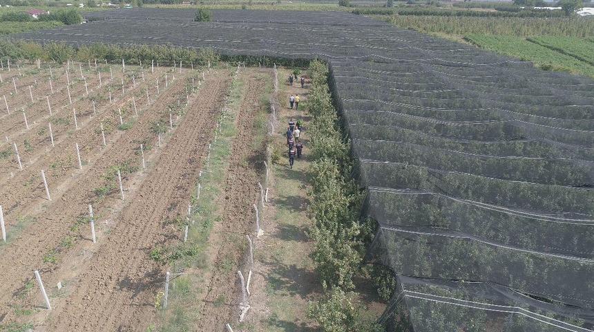 Bursa'da yasa dışı kenevir &uuml;retip, ticaretini yapan kişi g&ouml;zaltına alındı