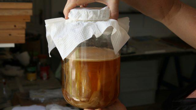 Çinlilerin sağlık iksiri! Uzun yaşam sırları bu çayda saklı