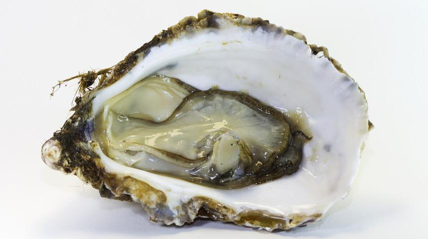 Sperm sayısını ve kalitesini artıran 6 besin