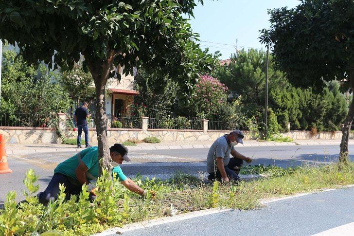 Efeler’de yeşil alan çalışmaları sürüyor G1