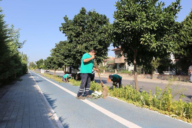 Efeler’de yeşil alan çalışmaları sürüyor G2