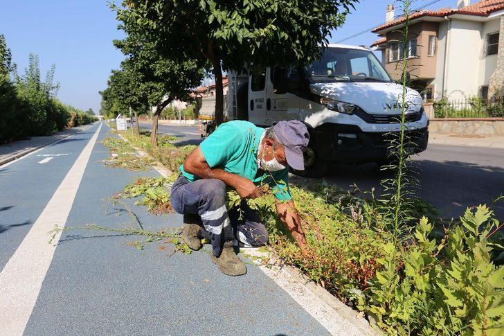 Efeler’de yeşil alan çalışmaları sürüyor G3