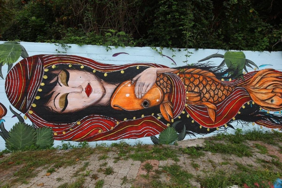 Yalık&ouml;y rengarenk