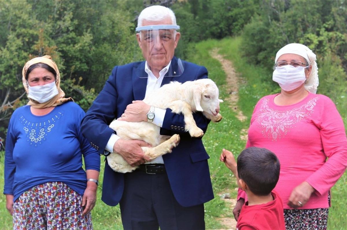 B&uuml;y&uuml;kşehir &uuml;&ccedil; il&ccedil;ede kıl ke&ccedil;isi dağıtacak