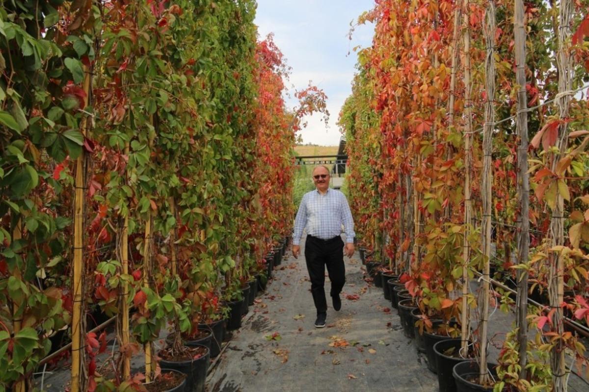 Sivas&rsquo;ta yeşil alanlar tasarruflu sistemle sulanacak