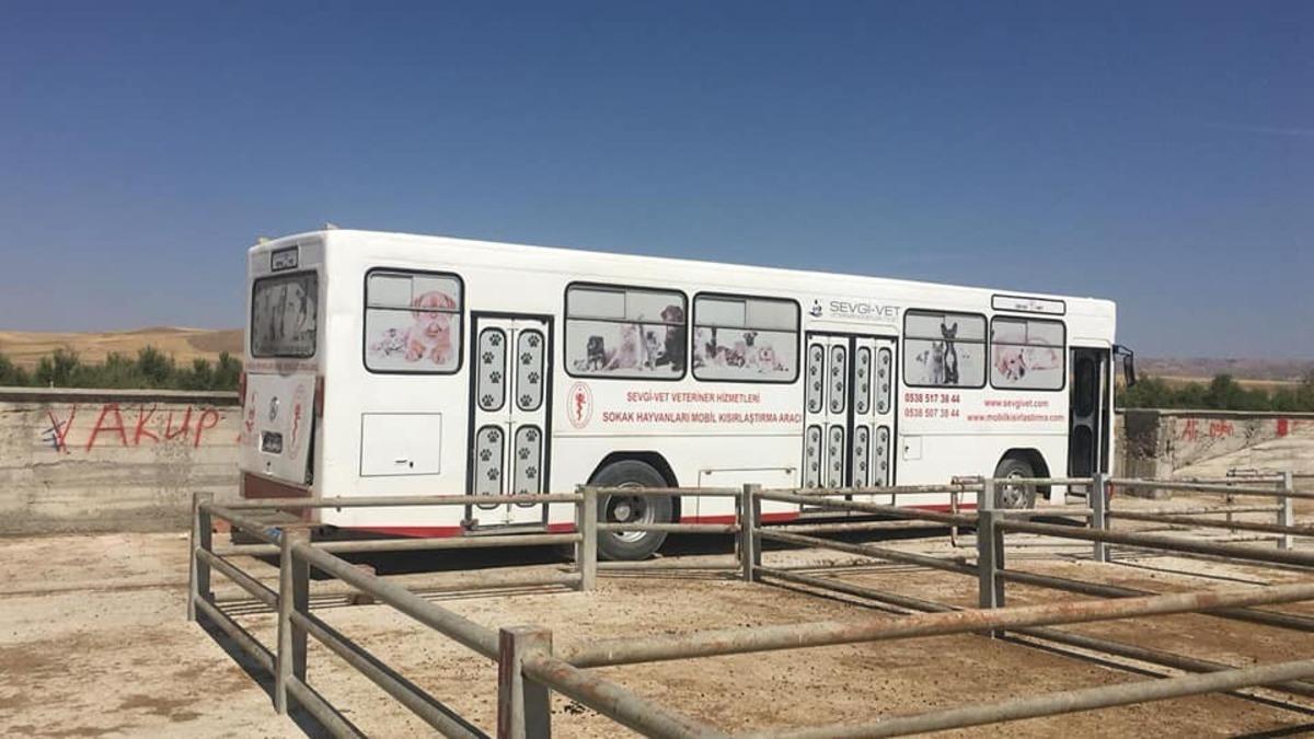 Sungurlu&rsquo;da sokak hayvanları kısırlaştırılıyor