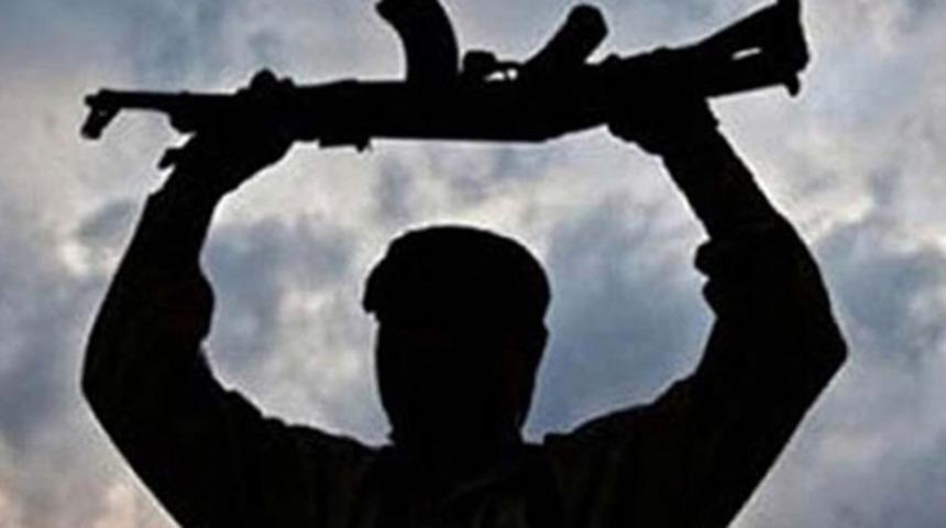 İçişleri Bakanlığı açıkladı: Mardin'de 2 terörist teslim oldu