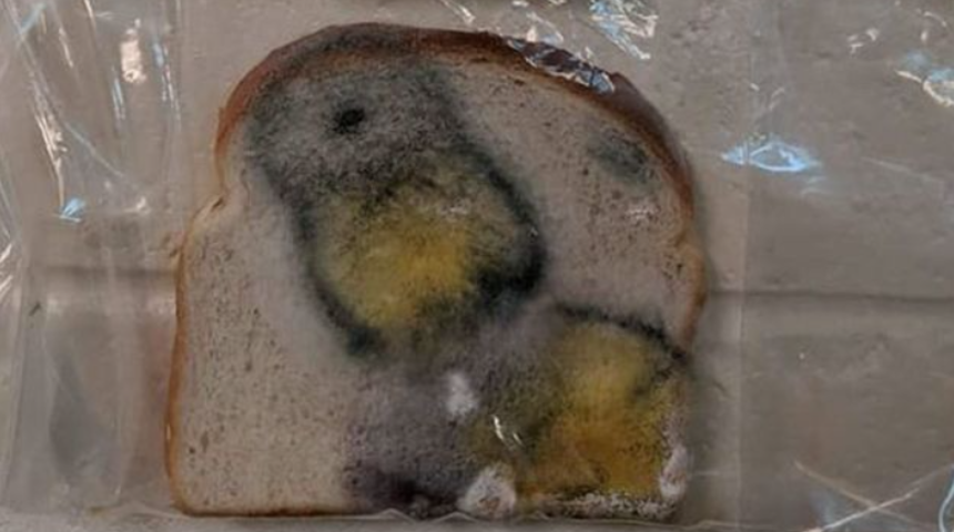 El yıkamanın g&uuml;c&uuml;n&uuml; g&ouml;stermek i&ccedil;in deney yaptı şimdi d&uuml;nya onu konuşuyor