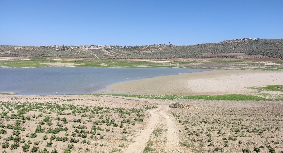Yarseli G&ouml;letinde sular &ccedil;ekildi