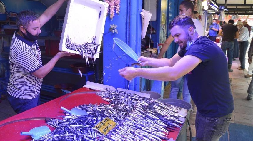 Balıklar bollaşıyor, fiyatlar düşüyor