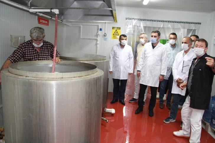 Kerevit 9 ülkeye ihraç ediliyor G3