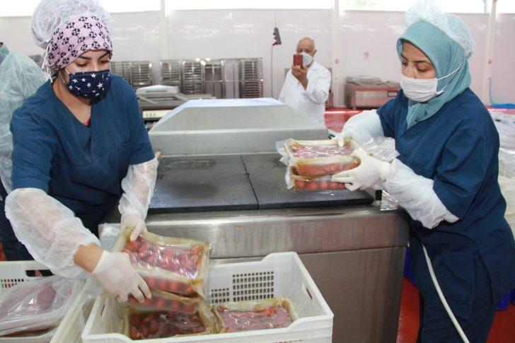 Kerevit 9 ülkeye ihraç ediliyor G5