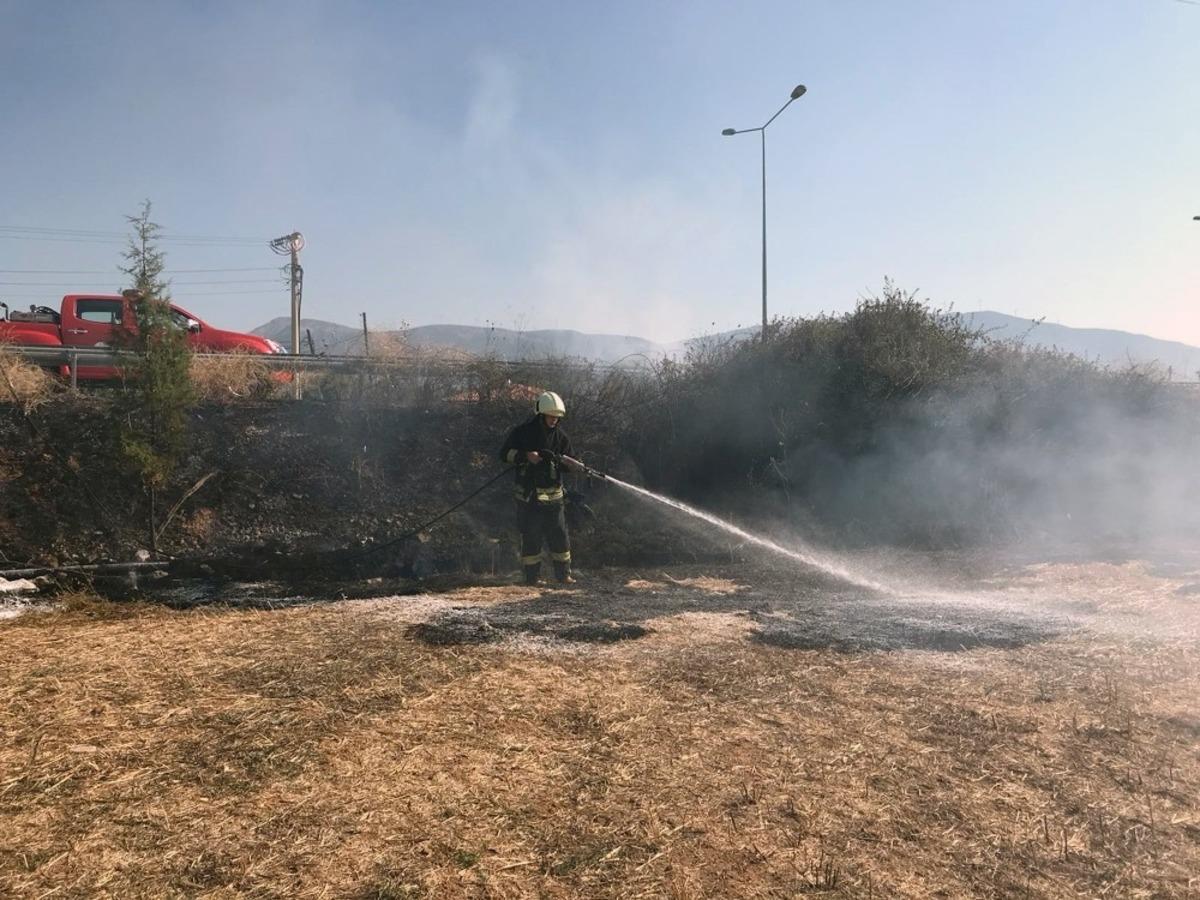 Kuş tarlayı yakıyordu