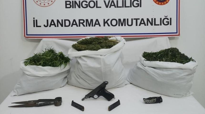 Bing&ouml;l&rsquo;de 6,5 kilo esrar ile bin 688 k&ouml;k kenevir ele ge&ccedil;irildi
