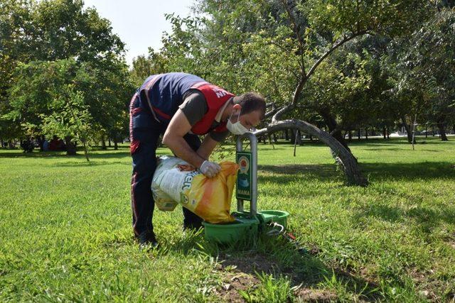 Can dostlar için mama ve su kabı