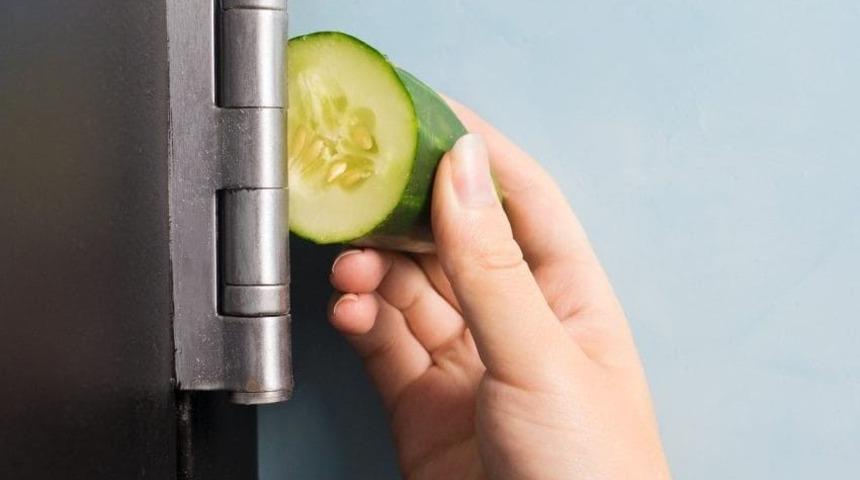 İnanılmaz ama ger&ccedil;ek! Gıcırdayan kapıya salatalık s&uuml;rerseniz... 