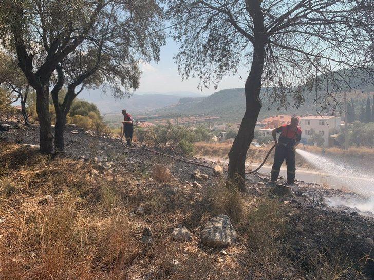 Milas’ta otluk yangını söndü, Güvercinlikte orman yangını başladı G1