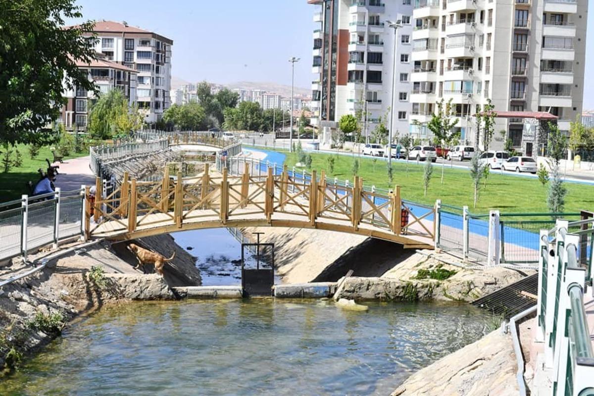 Horata &Ccedil;ayının &ccedil;evresine yeni bir yaşam alanı kurdu