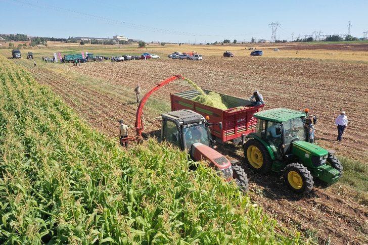 Vali direksiyon başına geçti, hasat yaptı G1