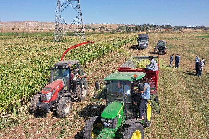 Vali direksiyon başına geçti, hasat yaptı G2