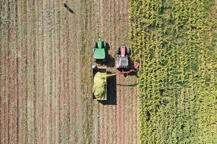 Vali direksiyon başına geçti, hasat yaptı G3