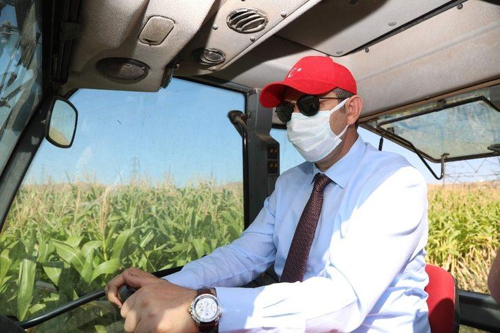 Vali direksiyon başına geçti, hasat yaptı G4