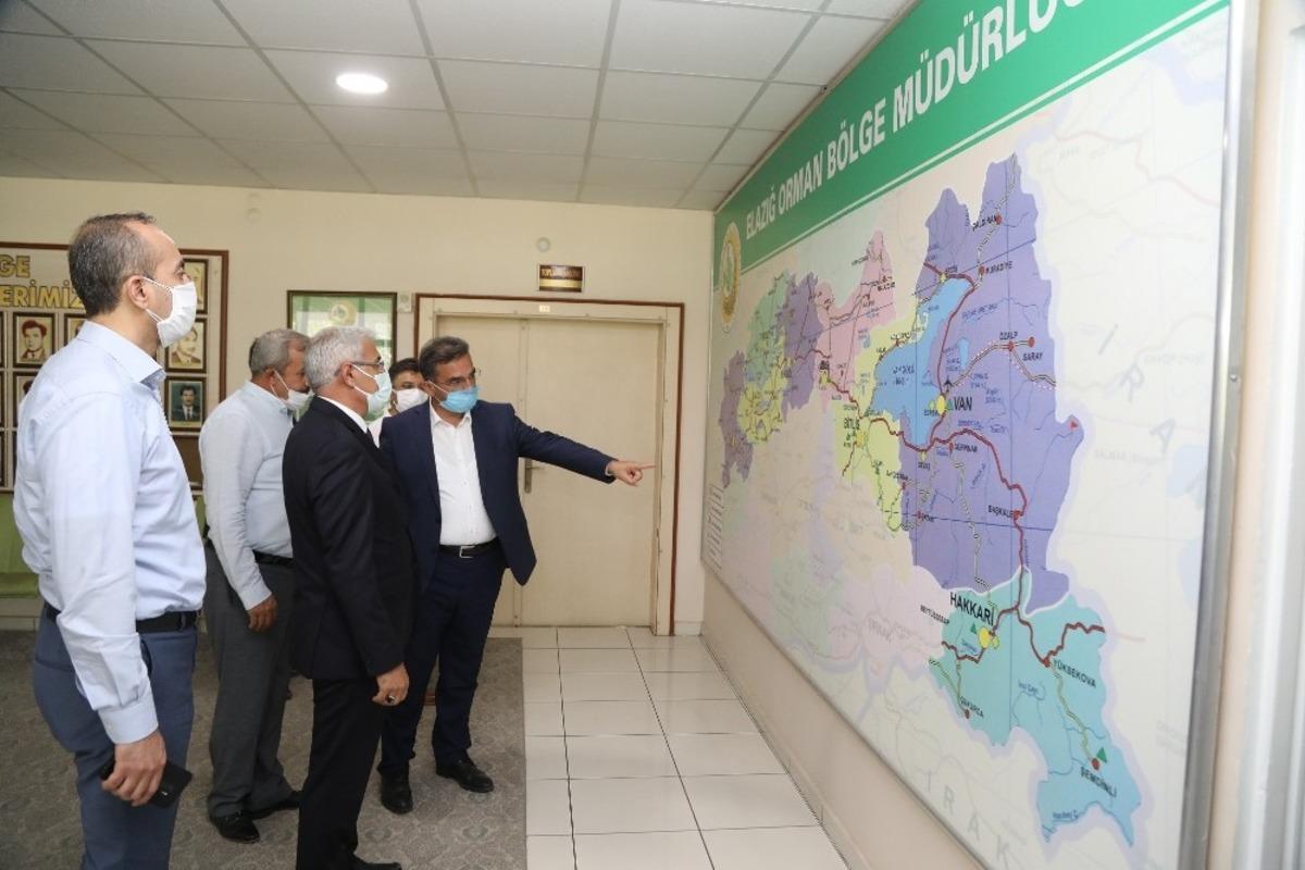 Orduzu&rsquo;da k&uuml;le d&ouml;nen b&ouml;lge yeniden yeşillenecek