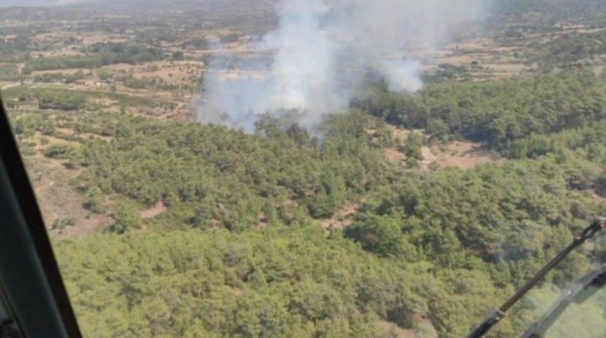 Milas&rsquo;ta orman yangını